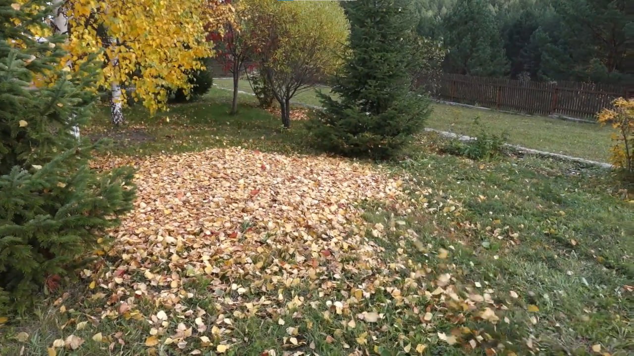 https://rostov-na-donu.mslandshaft.ru/storage/app/uploads/public/642/ac5/f22/642ac5f2293e2935715739.jpg